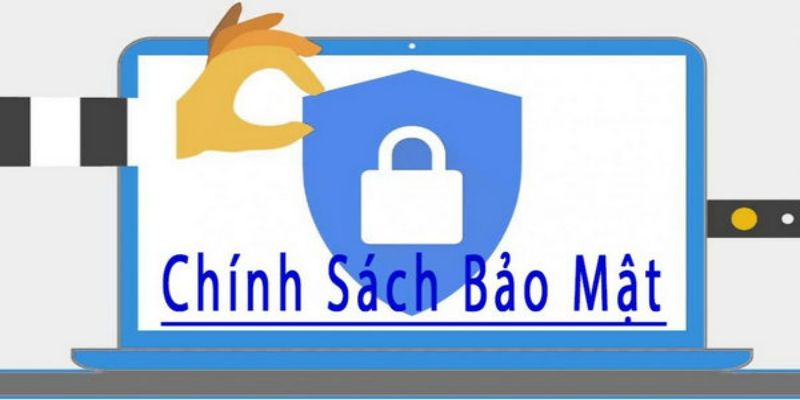 gioi thieu ve chinh sach bao mat tai da ga thomo